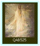 Caixa de texto:  
QAB525
