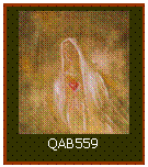 Caixa de texto:  
QAB559
