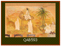 Caixa de texto:  
QAB593
