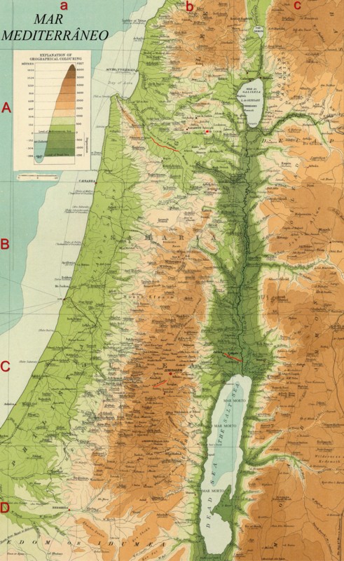 Palestina - Editada1- reduzida