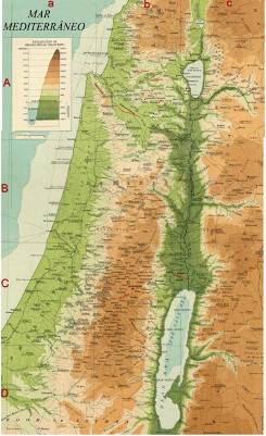 Palestina - Editada1-Miniatura